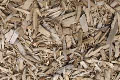 biomass boilers Gwastadnant